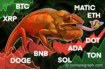 Price analysis 10/4: BTC, ETH, BNB, XRP, SOL, ADA, DOGE, TON, DOT, MATIC