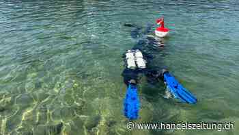 Mit lokalen Partnern arbeiten