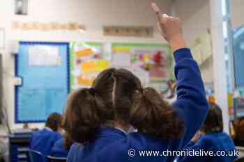 Psychologists explain how to spot ADHD signs in children and what parents need to look out for