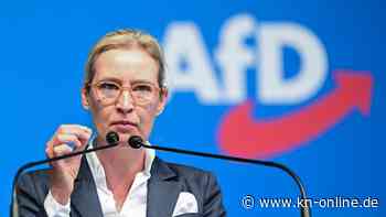 Alice Weidel: AfD-Chefin sagte Kundgebung aus Sicherheitsgründen ab – Urlaub auf Mallorca