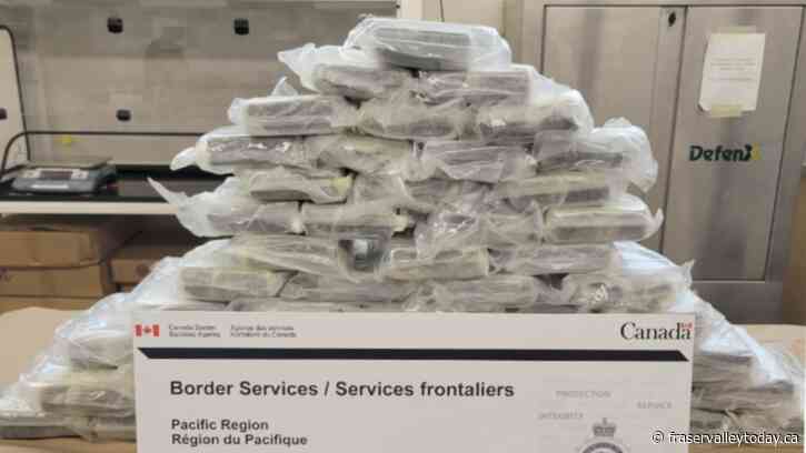 Dog tips off CBSA border guards to 65 kgs of coke in truck, Alberta man arrested in Surrey