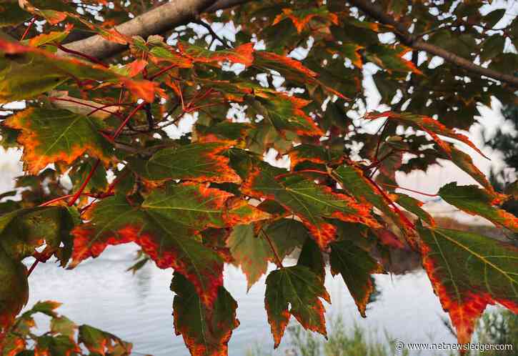 Thunder Bay: Warmth Persists Amidst Showers and Thunderstorm Risks – Residents Embrace a Mild Autumn Day