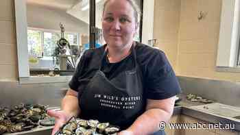 'Old school' regulations create bureaucratic nightmare for oyster farmers