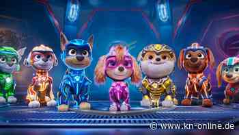 „Saw“ und „Der Exorzist“: Kino zeigt Horrorfilm-Trailer vor Kinderfilm „Paw Patrol“