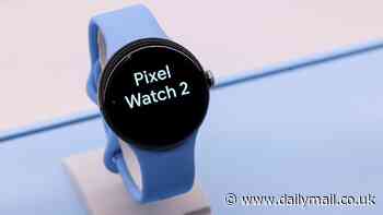 The new £350 Google Pixel 2 smartwatch that can tell you if it's time to stop stressing