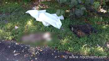Disturbing photos show abandoned dead pit bull in Fort Lauderdale neighborhood
