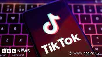 TikTok testing out advert-free monthly subscription
