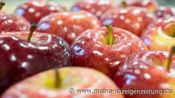 Mit Schellack überzogene Äpfel sind nichts für Veganer