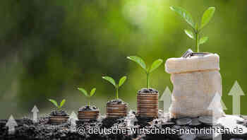 ESG-Trend: „Nachhaltiges Investieren bewirkt wahrscheinlich nichts“