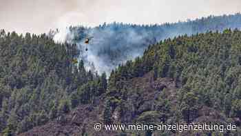 Wieder Waldbrand auf Teneriffa - 2600 Menschen evakuiert