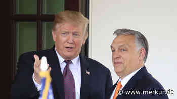 Polen und Ungarn hoffen auf ein Comeback von Donald Trump