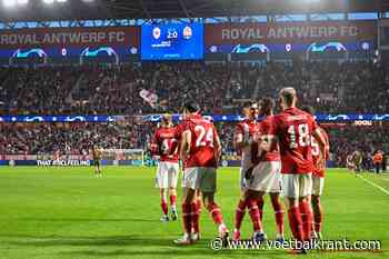 Het Antwerpse lichtpuntje: "Voor hem lijkt een grote internationale carrière weggelegd"