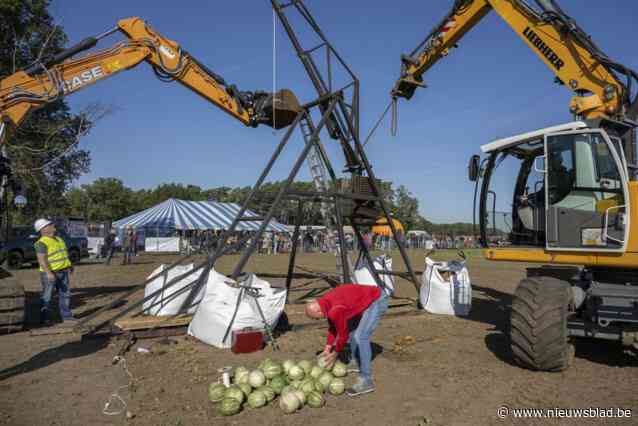 Heel weekend pompoengekte met BK pompoenwegen en BK pompoenschieten: “We willen records verbreken”