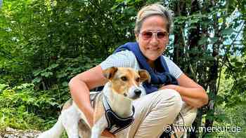ORF-Star Monica Weinzettl außer sich: Jäger droht, ihren Hund zu erschießen