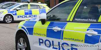 Boy, 17, arrested in Sutton after murder