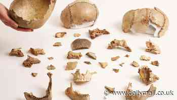 Human bones covered in bite marks are discovered in a cave in Cheddar Gorge - suggesting Stone Age people practiced CANNIBALISM as part of their funeral rituals