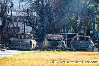 Mental health support for survivors is essential, official says