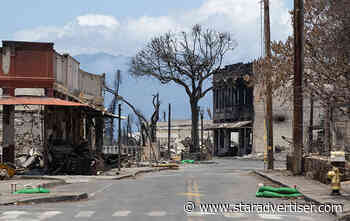 Kokua Line: Is it too late to get Disaster Unemployment Assistance?