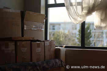 Wann lohnt es sich, einen professionellen Umzugsservice zu beauftragen