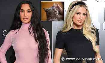 Kim Catdashian! Women who speak with husky 'vocal fry' use the same technique as cats when they purr, study finds