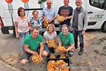 Steinheim: Fünf Hobbybauern verschenken 3500 Kilo Kartoffeln