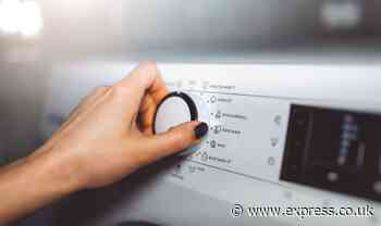 ‘Best temperature’ for washing towels and bed sheets to ‘kill all bed bugs and their eggs’