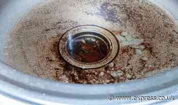 Plumber shares ‘effective’ 10-minute home remedy to clear blocked drains without a plunger