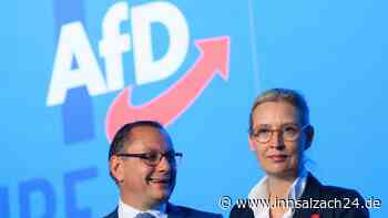 Nach Parteiangaben bedrohte AfD-Chefin Weidel machte Urlaub auf Mallorca