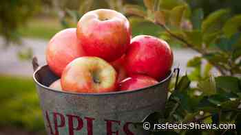 9Things to do in Colorado this weekend: Oct. 6-8