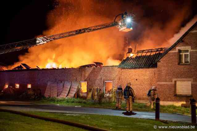 Slachtoffers vragen ruim 268.000 euro voor branden in Alken, maar verdachte blijft ontkennen