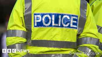 Two charged over aggressive dogs in Hull