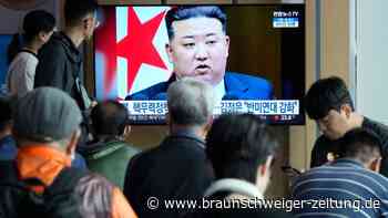 Nordkorea will anscheinend wieder Waffenplutonium gewinnen