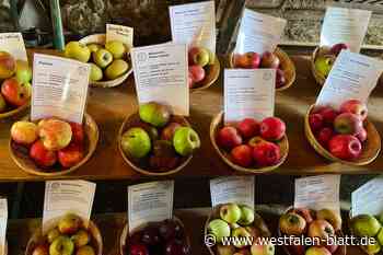 Seltene Apfelsorten auf dem Hof Ramsbrock