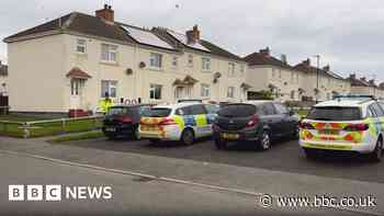 Shiney Row: Man bailed after suspected American bully XL attack