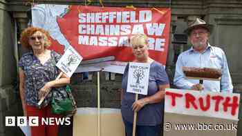 Sheffield City Council write apology to tree campaigners