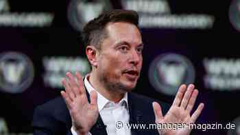 Twitter: Werbeeinnahmen von X brechen seit Musk-Übernahme Monat für Monat weiter ein