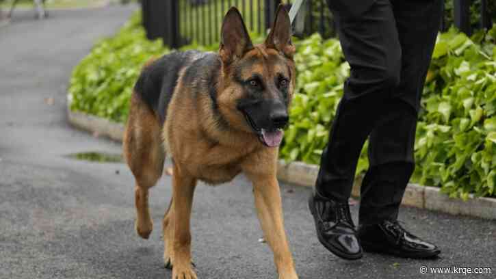 After biting incidents, Biden's dog Commander is no longer at White House