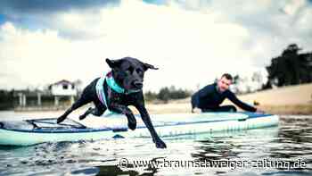 Deshalb ist der Bernsteinsee perfekt für die Bundeshundespiele