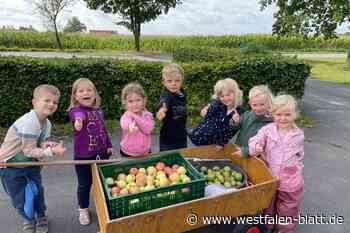 Stemwede: Hier ist "Äpfel klauen" total erwünscht