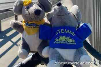 Stemwede: Ein Selfie mit „Stemmi“ und „Wedi“