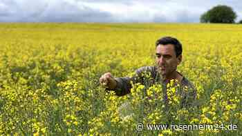 Ökotoxikologe zu Pestizid-Verbot: „Glyphosat ist die perfekte Nebelkerze“