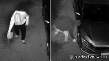 Barrie homeowners scared for their lives after vandals damage vehicles, attempt to ignite gasoline poured in driveway