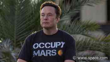 SpaceX's Starship has 'decent chance' of success on upcoming flight, Elon Musk says