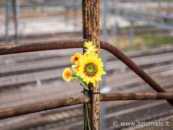 Non date la colpa al guardrail, Giannini silurato e Ciccio Bomber: quindi, oggi...