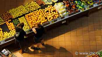Grocery chains promising more discounts, price freezes to stabilize food costs, minister says