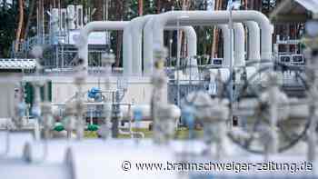 Putin bietet Gaslieferung durch Nord Stream an