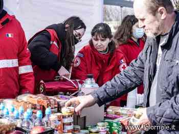 L'impegno della Croce Rossa Italiana per le donne vittime di violenza
