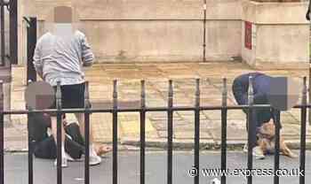 Horrific moment mum cradles injured toddler after vicious XL Bully attack