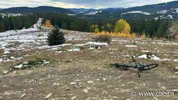 Bear warning and closure issued for popular Kananaskis trails west of Calgary