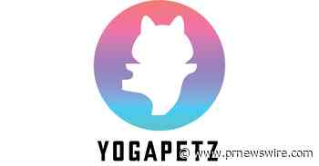 Wellness NFT YogaPetz verkoopt uit in minder dan 45 minuten met een waarde van bijna $3 miljoen